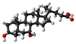 Ball-and-stick model of the chenodeoxycholic acid molecule