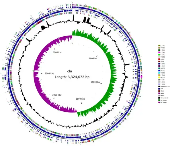 Circular map of the Clostridium perfringens(JXJA17 strain[8])