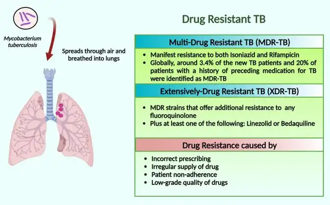Schematic presentation of multidrug-resistant TB and extensively drug-resistant TB.[5]