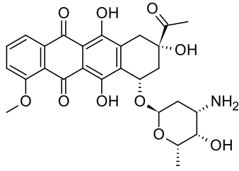 Daunorubicin, the prototypical anthracycline. Used against: Acute myeloid leukemia (AML), acute lymphocytic leukemia (ALL), chronic myelogenous leukemia (CML), and Kaposi's sarcoma