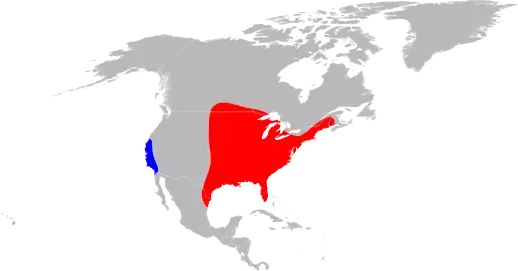 American dog tick (Dermacentor variabilis) range