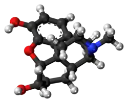 Ball-and-stick model of the dihydromorphine molecule