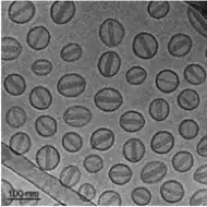 Cryo-TEM images of Doxil (pegylated liposomal doxorubicin)[45]