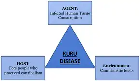 Figure shows epidemiological triangle for the Kuru disease.