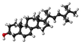 Ball-and-stick model of ergosterol