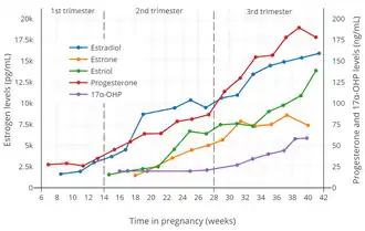 Estrogen, progesterone, and 17α-hydroxyprogesterone (17α-OHP) levels during pregnancy in women. The dashed vertical lines separate the trimesters.