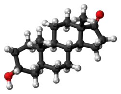 Ball-and-stick model of the etiocholanolone molecule