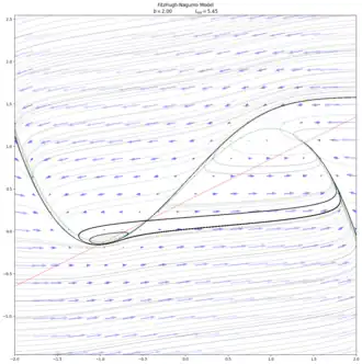 After the homoclinic bifurcation. When 
  
    
      
        b
        =
        2.0
        ,
        
          I
          
            e
            x
            t
          
        
        =
        5.45
      
    
    {\displaystyle b=2.0,I_{ext}=5.45}
  
, there is one stable spiral point on the left, and one stable sink on the right. Both branches of the unstable manifold converge to the sink. The upper branch of the stable manifold diverges to infinity. The lower branch of the stable manifold converges to a cycle around the spiral point. The limit cycle itself is unstable.