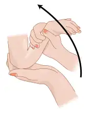 This may be followed by flexion of the elbow[17]