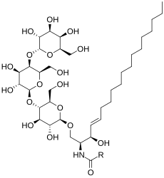 Globotriaosylceramide (Gb3), a substrate of α-GalA, has a terminal D-galactose structurally similar to migalastat.[9]