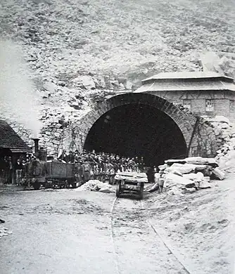 An epidemic of "miner's anaemia" caused by Ancylostoma duodenale among workers constructing the Gotthard Tunnel contributed to the understanding of ancylostomiasis.[20]