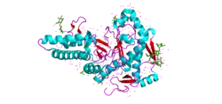 Structure of HYAL-1