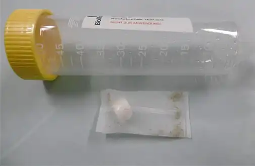 Maggots in medical packaging