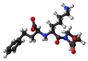 Ball-and-stick model of the lisinopril zwitterion