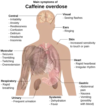 Torso of a young man with overlaid text of main side-effects of caffeine overdose.