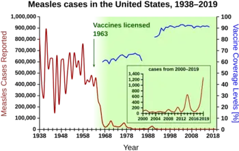 Measles cases 1944-1963 followed a highly variable epidemic pattern, with 150,000-850,000 cases reported per year. A sharp decline followed introduction of the first measles vaccine in 1963, with fewer than 25,000 cases reported in 1968. Outbreaks around 1971 and 1977 gave 75,000 and 57,000 cases, respectively. Cases were stable at a few thousand per year until an outbreak of 28,000 in 1990. Cases declined from a few hundred per year in the early 1990s to a few dozen in the 2000s.