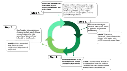 Illustration by Catherine Lockmiller of the cyclical pipeline between transgender healthcare misinformation and anti-trans legislation featuring ROGD as a case study