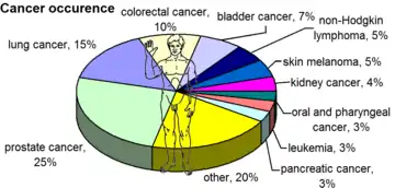 Most common cancers in US males, by occurrence[19]