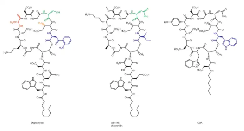 Figure 8. Structures of lipopeptide antibiotics