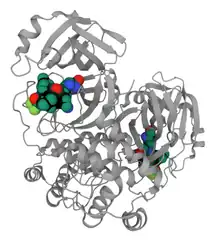 Nirmatrelvir bound to 3CL PDB: 7RFW​