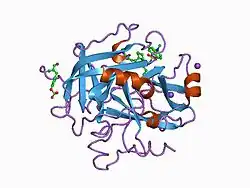 1a4w: CRYSTAL STRUCTURES OF THROMBIN WITH THIAZOLE-CONTAINING INHIBITORS: PROBES OF THE S1' BINDING SITE