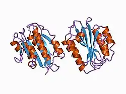 1atz: HUMAN VON WILLEBRAND FACTOR A3 DOMAIN