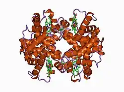 1buw: CRYSTAL STRUCTURE OF S-NITROSO-NITROSYL HUMAN HEMOGLOBIN A