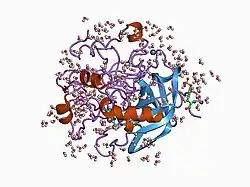 1c1w: RECRUITING ZINC TO MEDIATE POTENT, SPECIFIC INHIBITION OF SERINE PROTEASES