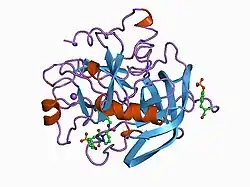 1c4u: SELECTIVE NON ELECTROPHILIC THROMBIN INHIBITORS WITH CYCLOHEXYL MOIETIES.