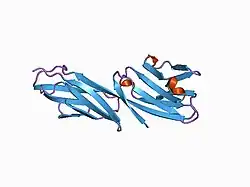 1cdy: STRUCTURE OF T-CELL SURFACE GLYCOPROTEIN CD4 MUTANT WITH GLY 47 REPLACED BY SER