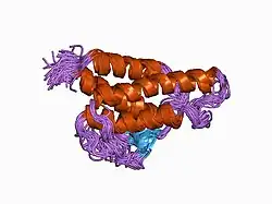 1cyl: ASPECTS OF RECEPTOR BINDING AND SIGNALLING OF INTERLEUKIN-4 INVESTIGATED BY SITE-DIRECTED MUTAGENESIS AND NMR SPECTROSCOPY