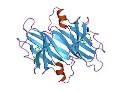 1dvy: CRYSTAL STRUCTURE OF TRANSTHYRETIN IN COMPLEX WITH N-(M-TRIFLUOROMETHYLPHENYL) PHENOXAZINE-4,6-DICARBOXYLIC ACID
