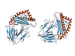 1eey: Crystal Structure Determination Of HLA A2 Complexed to Peptide GP2 with the substitution (I2L/V5L/L9V)