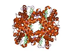 1g9v: HIGH RESOLUTION CRYSTAL STRUCTURE OF DEOXY HEMOGLOBIN COMPLEXED WITH A POTENT ALLOSTERIC EFFECTOR