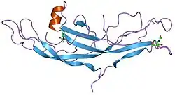 1hcn: STRUCTURE OF HUMAN CHORIONIC GONADOTROPIN AT 2.6 ANGSTROMS RESOLUTION FROM MAD ANALYSIS OF THE SELENOMETHIONYL PROTEIN