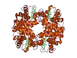 1hdb: ANALYSIS OF THE CRYSTAL STRUCTURE, MOLECULAR MODELING AND INFRARED SPECTROSCOPY OF THE DISTAL BETA-HEME POCKET VALINE67(E11)-THREONINE MUTATION OF HEMOGLOBIN