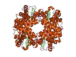 1hgc: HIGH RESOLUTION CRYSTAL STRUCTURES AND COMPARISONS OF T STATE DEOXYHAEMOGLOBIN AND TWO LIGANDED T-STATE HAEMOGLOBINS: T(ALPHA-OXY)HAEMOGLOBIN AND T(MET)HAEMOGLOBIN