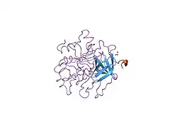1hgt: STRUCTURE OF THE HIRUGEN AND HIRULOG 1 COMPLEXES OF ALPHA-THROMBIN