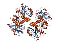 1hyn: CRYSTAL STRUCTURE OF THE CYTOPLASMIC DOMAIN OF HUMAN ERYTHROCYTE BAND-3 PROTEIN