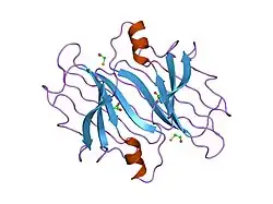 1iii: CRYSTAL STRUCTURE OF THE TRANSTHYRETIN MUTANT TTR Y114C-DATA COLLECTED AT ROOM TEMPERATURE