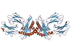 1kpr: The human non-classical major histocompatibility complex molecule HLA-E