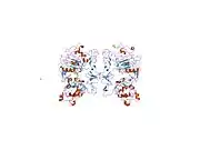 1mox: Crystal Structure of Human Epidermal Growth Factor Receptor (residues 1-501) in complex with TGF-alpha