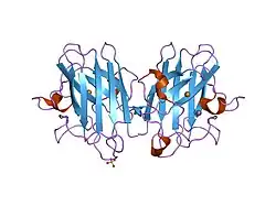 1n19: Structure of the HSOD A4V mutant