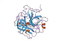 1ppb: THE REFINED 1.9 ANGSTROMS CRYSTAL STRUCTURE OF HUMAN ALPHA-THROMBIN: INTERACTION WITH D-PHE-PRO-ARG CHLOROMETHYLKETONE AND SIGNIFICANCE OF THE TYR-PRO-PRO-TRP INSERTION SEGMENT