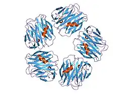 1sac: THE STRUCTURE OF PENTAMERIC HUMAN SERUM AMYLOID P COMPONENT