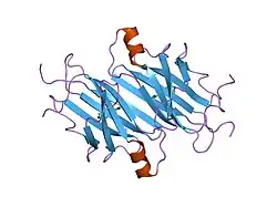 1tlm: STRUCTURAL ASPECTS OF INOTROPIC BIPYRIDINE BINDING: CRYSTAL STRUCTURE DETERMINATION TO 1.9 ANGSTROMS OF THE HUMAN SERUM TRANSTHYRETIN-MILRINONE COMPLEX