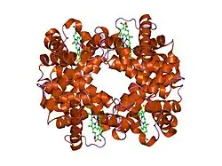 1xy0: T-to-THigh Transitions in Human Hemoglobin: alphaK40G deoxy low-salt