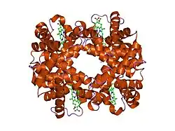 1y4b: T-To-T(High) quaternary transitions in human hemoglobin: betaW37H deoxy low-salt (10 test sets)