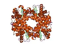 1y7g: T-To-T(high) quaternary transitions in human hemoglobin: betaN102A deoxy low-salt (1 test set)