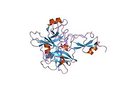 1zjd: Crystal Structure of the Catalytic Domain of Coagulation Factor XI in Complex with Kunitz Protease Inhibitor Domain of Protease Nexin II